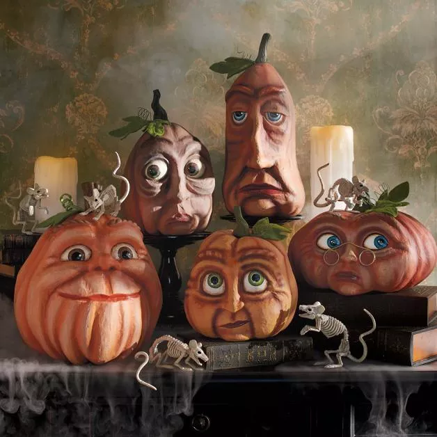 🔥Expressive Pumpkin Garden Decoration Indoor Decorations🎁
